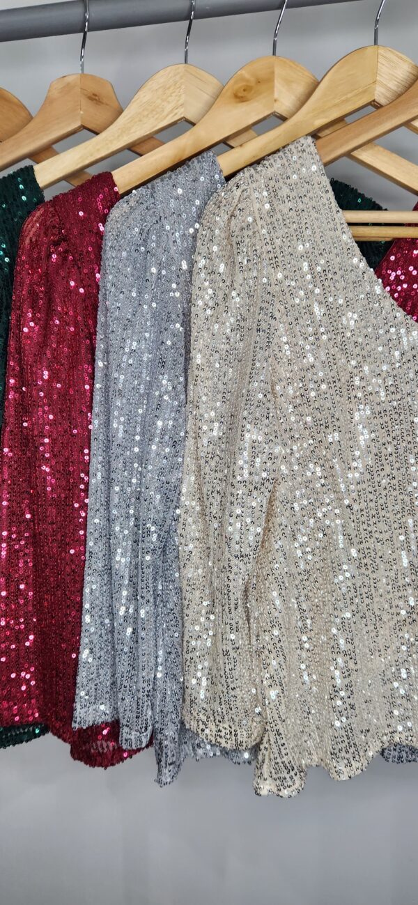 Blusa Carmin